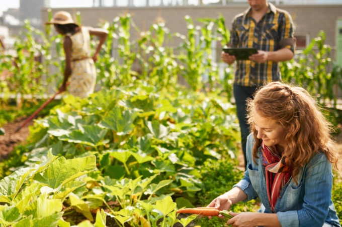 People gardening in their local community for Neighbour Day